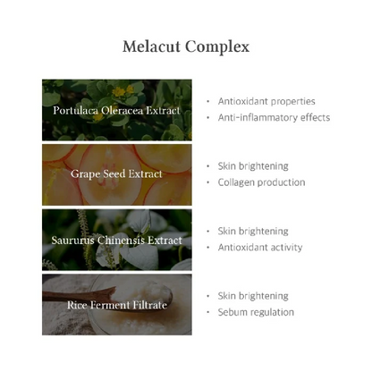 15% Niacinamide Purity Serum